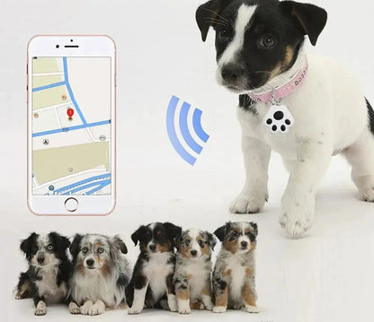 Pet Waterproof Tracking Loss GPS